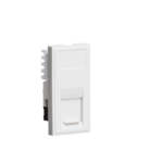 White Cat6 Euro Module