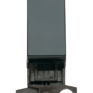 Black 2 Way 10A Switch Module