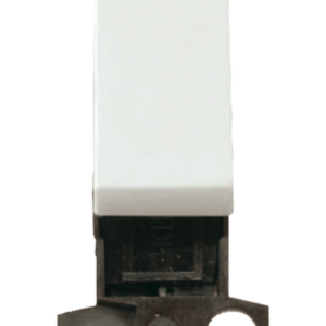 White 2 Way 10Ax Switch Module