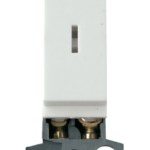 White 2 Way 10Ax Keyswitch Module